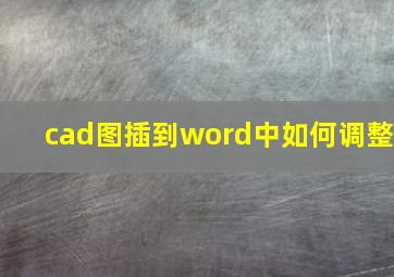 cad图插到word中如何调整