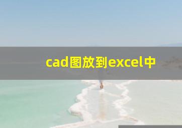 cad图放到excel中