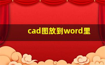 cad图放到word里