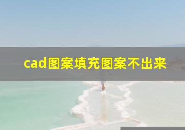 cad图案填充图案不出来