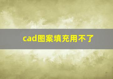 cad图案填充用不了