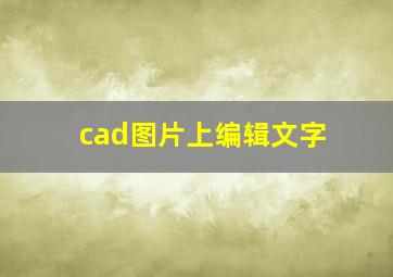 cad图片上编辑文字