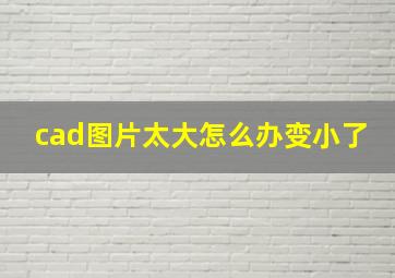 cad图片太大怎么办变小了