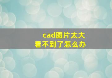 cad图片太大看不到了怎么办