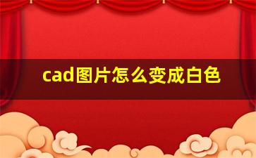 cad图片怎么变成白色