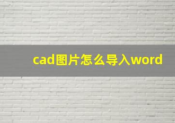 cad图片怎么导入word