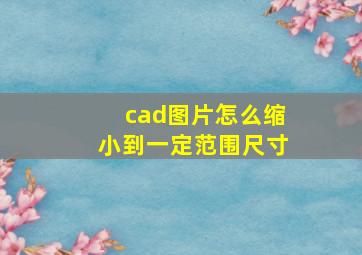 cad图片怎么缩小到一定范围尺寸