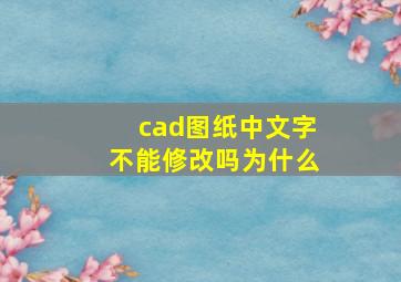 cad图纸中文字不能修改吗为什么