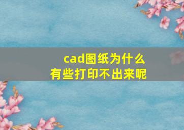 cad图纸为什么有些打印不出来呢