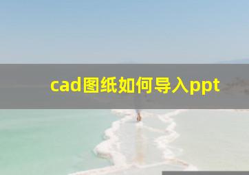 cad图纸如何导入ppt