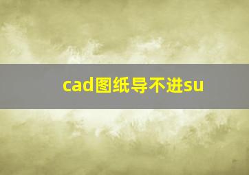 cad图纸导不进su