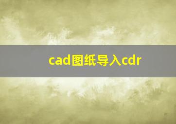 cad图纸导入cdr