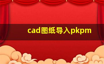 cad图纸导入pkpm