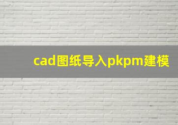 cad图纸导入pkpm建模