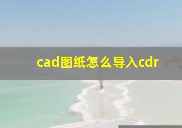 cad图纸怎么导入cdr