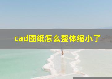 cad图纸怎么整体缩小了