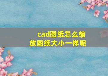 cad图纸怎么缩放图纸大小一样呢