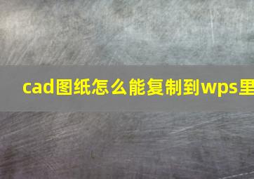 cad图纸怎么能复制到wps里