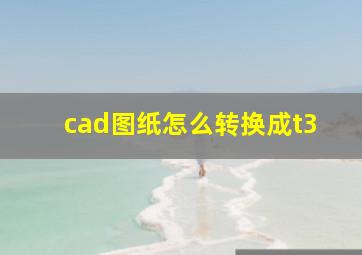 cad图纸怎么转换成t3