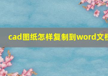 cad图纸怎样复制到word文档