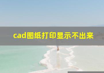 cad图纸打印显示不出来