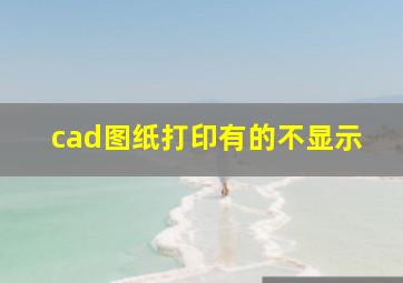 cad图纸打印有的不显示