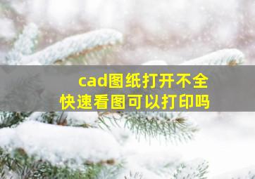 cad图纸打开不全快速看图可以打印吗