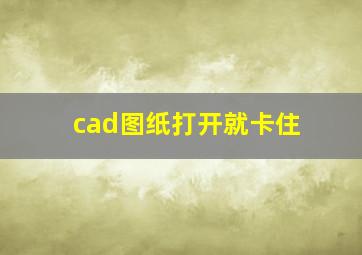 cad图纸打开就卡住