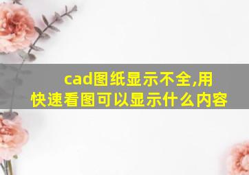 cad图纸显示不全,用快速看图可以显示什么内容