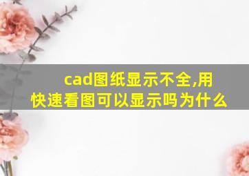 cad图纸显示不全,用快速看图可以显示吗为什么