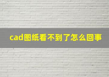 cad图纸看不到了怎么回事