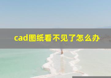 cad图纸看不见了怎么办