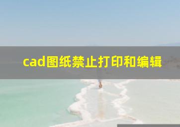 cad图纸禁止打印和编辑