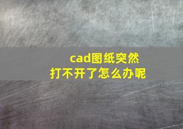 cad图纸突然打不开了怎么办呢