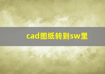 cad图纸转到sw里