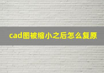 cad图被缩小之后怎么复原