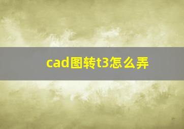 cad图转t3怎么弄