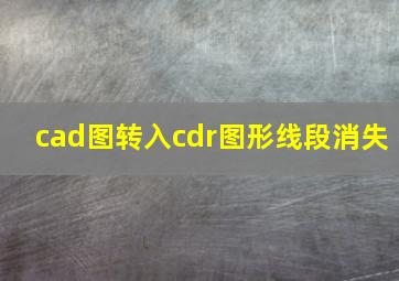 cad图转入cdr图形线段消失