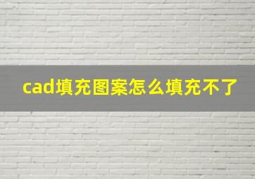 cad填充图案怎么填充不了