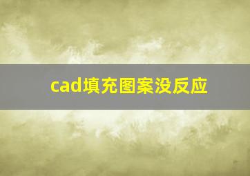 cad填充图案没反应