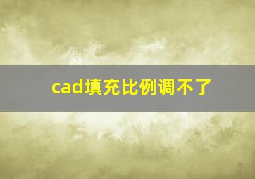 cad填充比例调不了