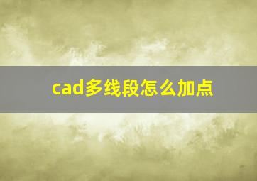 cad多线段怎么加点