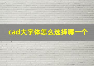 cad大字体怎么选择哪一个