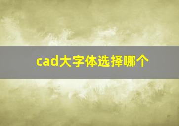 cad大字体选择哪个