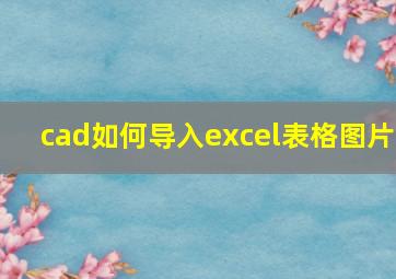 cad如何导入excel表格图片