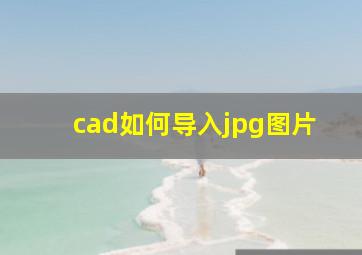 cad如何导入jpg图片