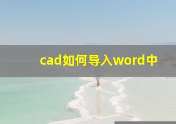 cad如何导入word中