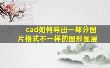 cad如何导出一部分图片格式不一样的图形图层