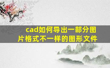 cad如何导出一部分图片格式不一样的图形文件