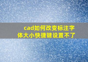 cad如何改变标注字体大小快捷键设置不了